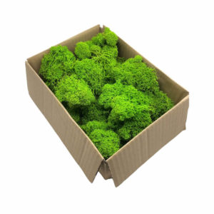 Flukoland Stabilizovaný lišajník zelený 100g