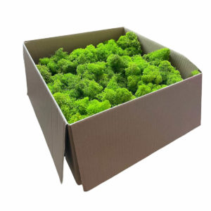 Flukoland Stabilizovaný lišajník zelený 1kg
