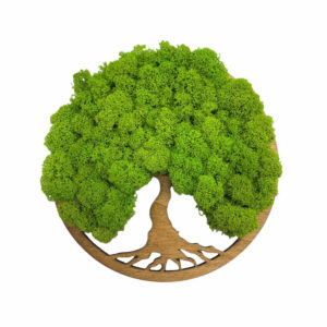 Flukoland Machový Obraz Strom života Simple Walnut 20cm